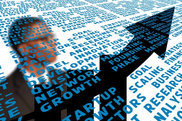 Fallbeispiel-Analyse: Das Phänomen der Skalennachteile